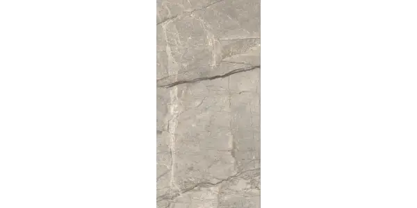 Gresie AMAZING SILVER