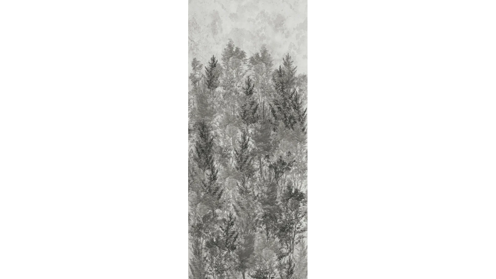 WALLS LANDSCAPE