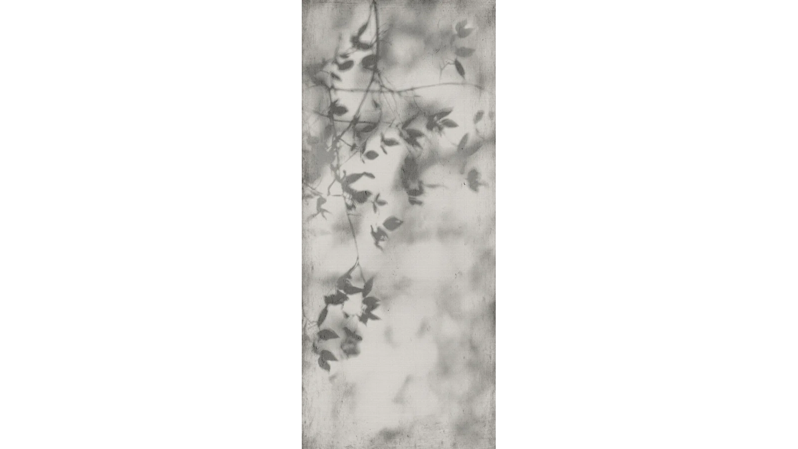 WALLS SHADOW