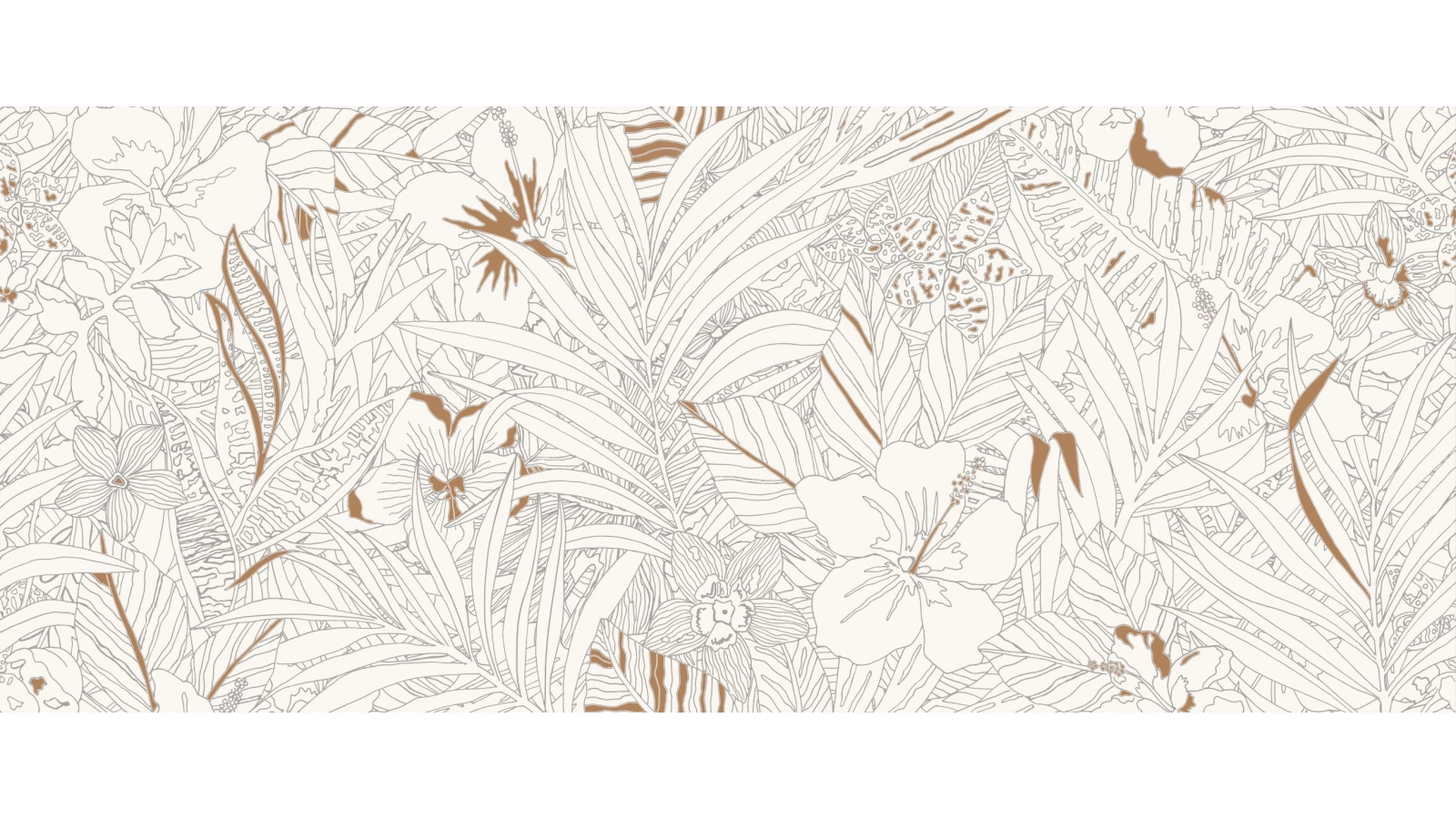 mirabilia coraljungle