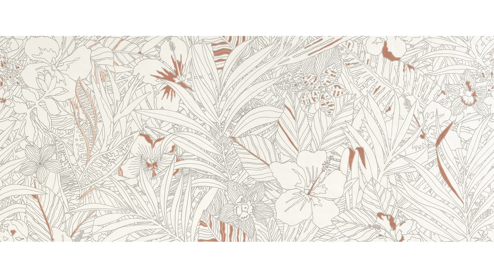 mirabilia coraljungle