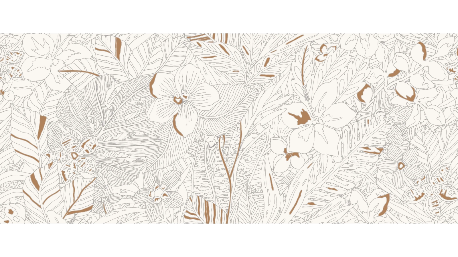 mirabilia coraljungle