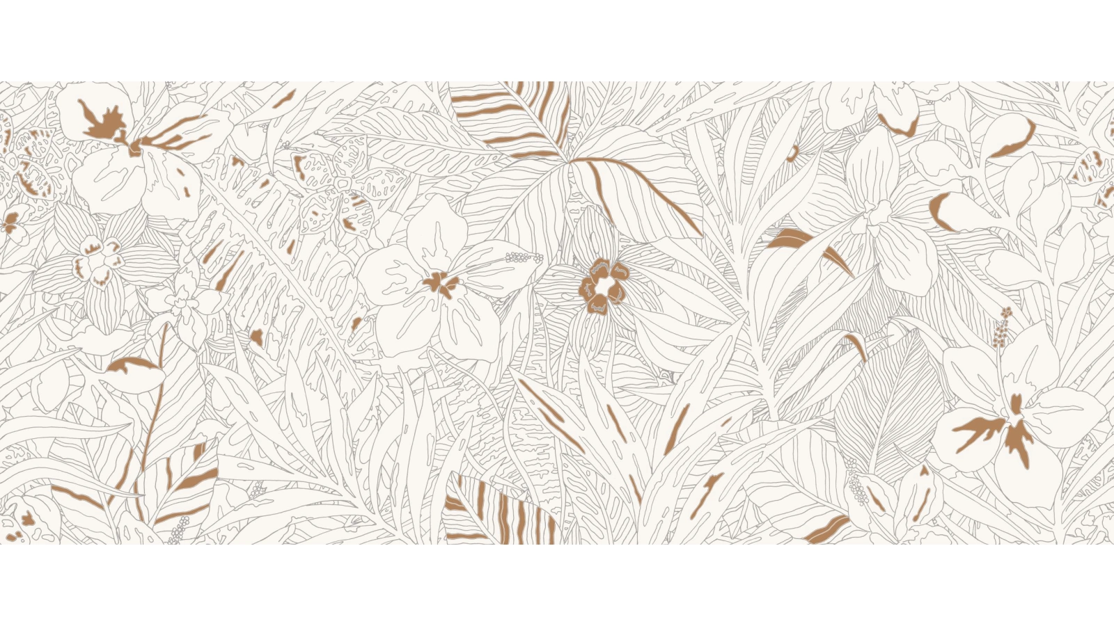 mirabilia coraljungle