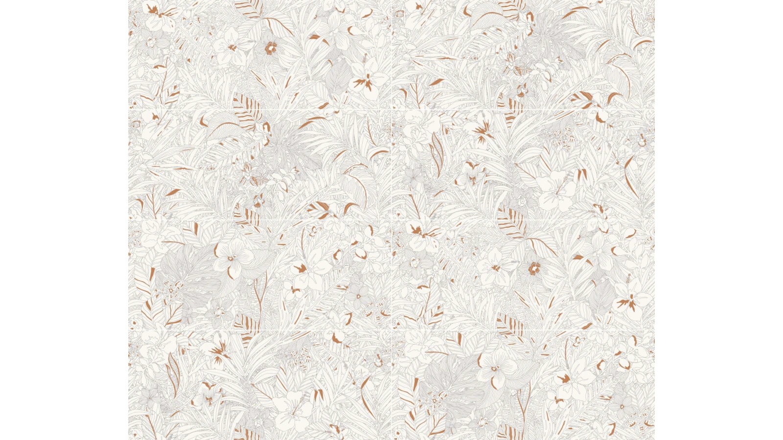 mirabilia coraljungle