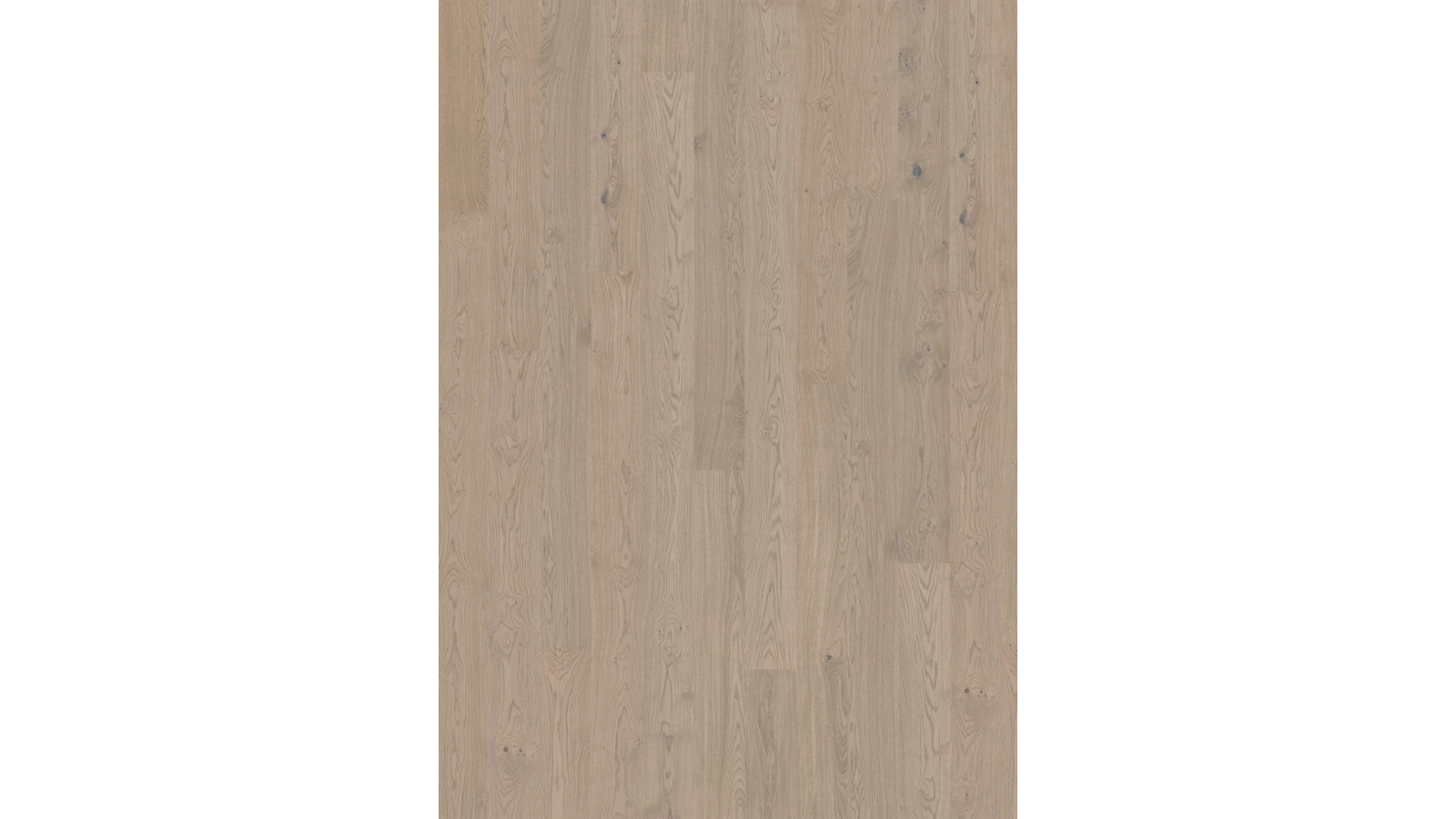 Oak Shore 1 - Textura 1
