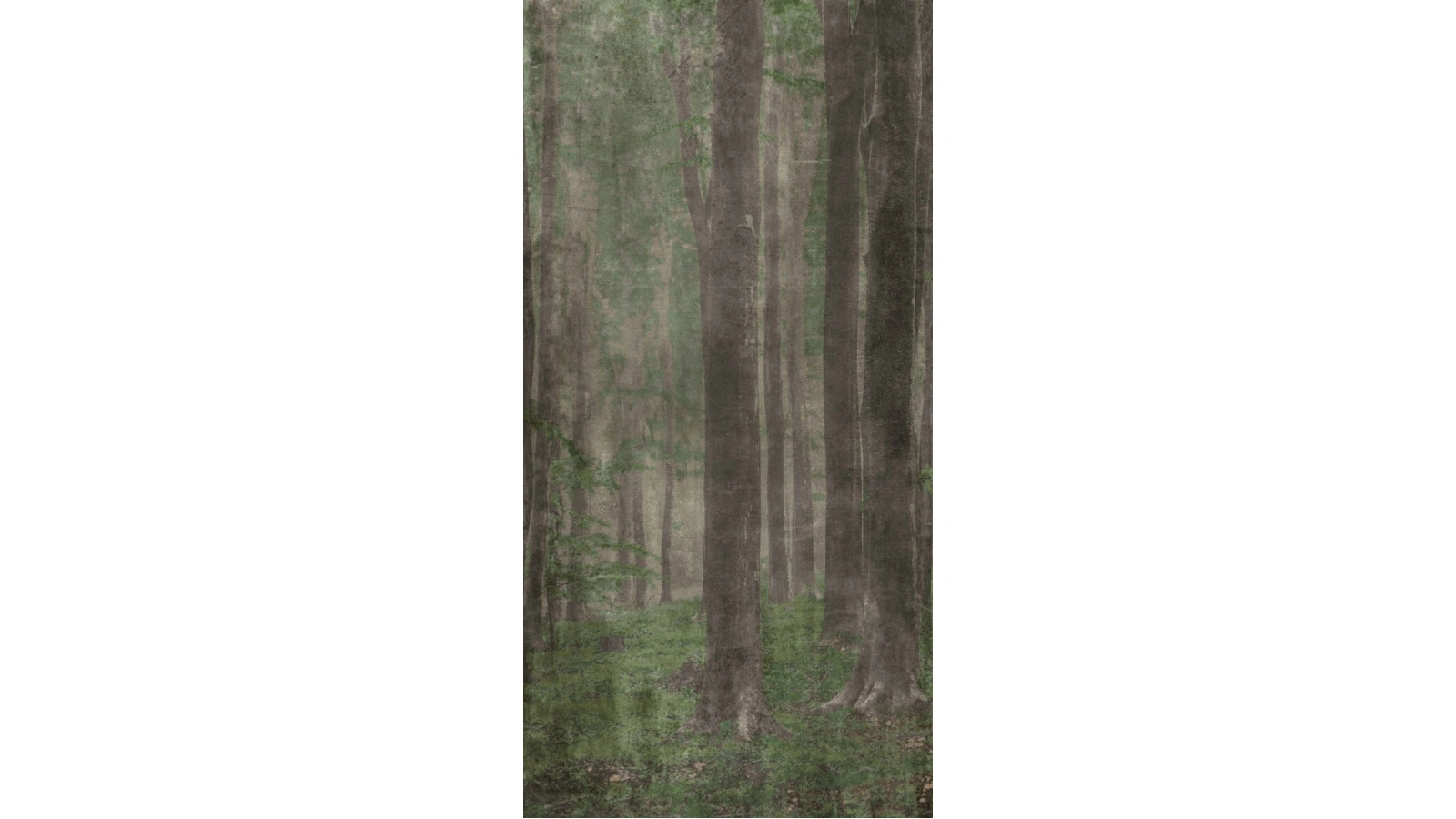 Wide and Style 18 - Textura 13