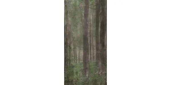 Wide and Style 18 - Textura 13