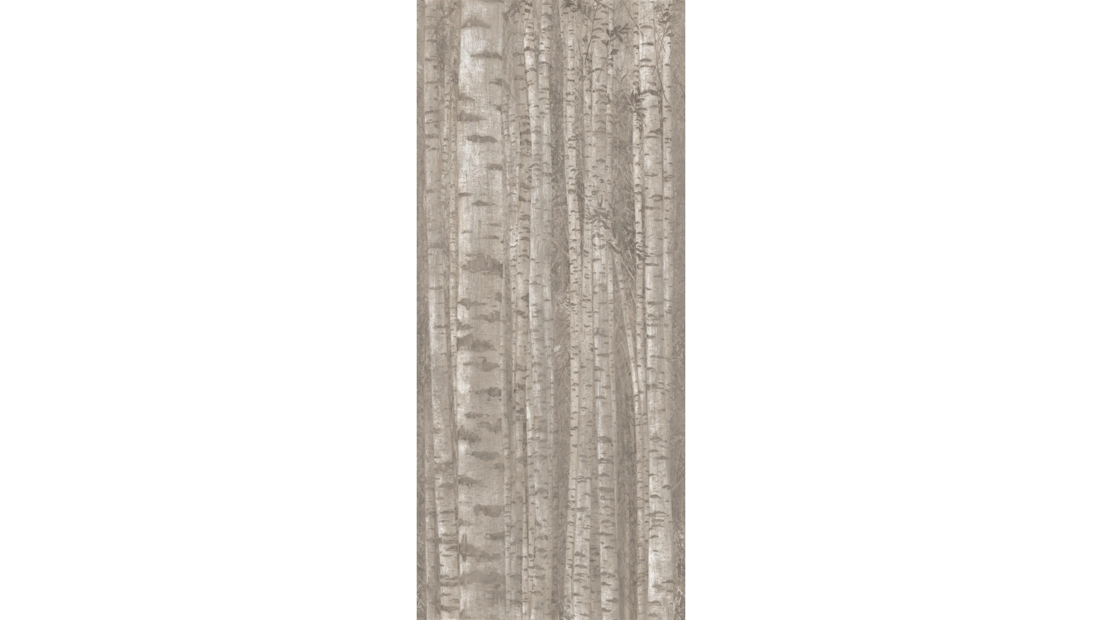 Boost Pro 1 - Textura 19