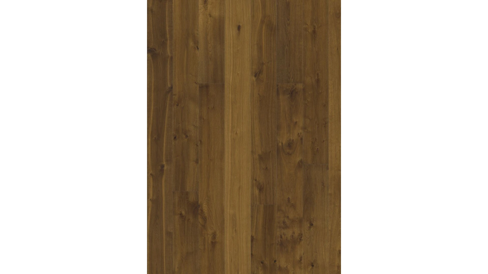 Sevede 1 - Textura 1