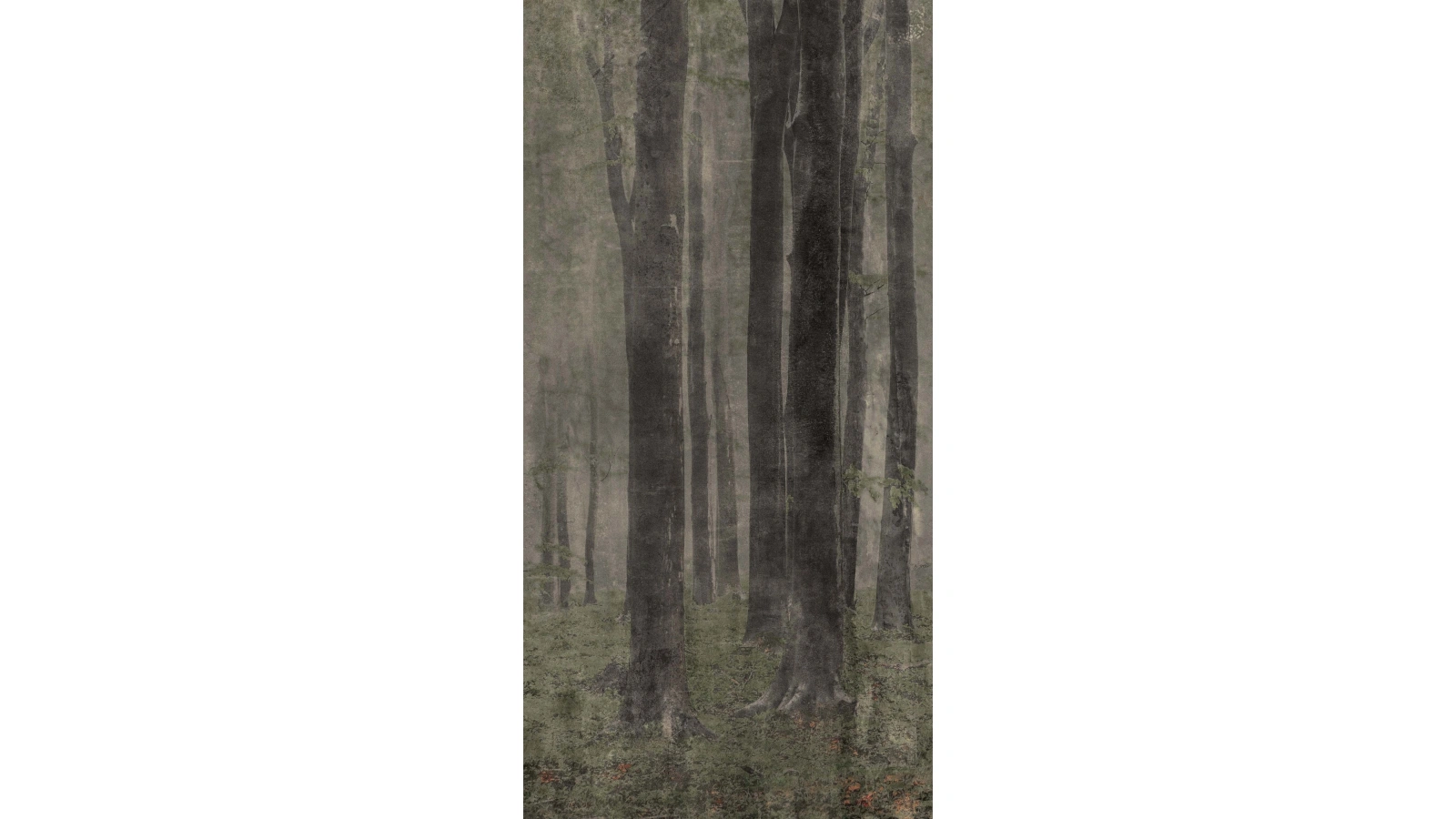 Wide and Style 18 - Textura 12