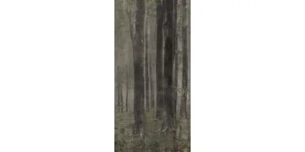 Wide and Style 18 - Textura 12