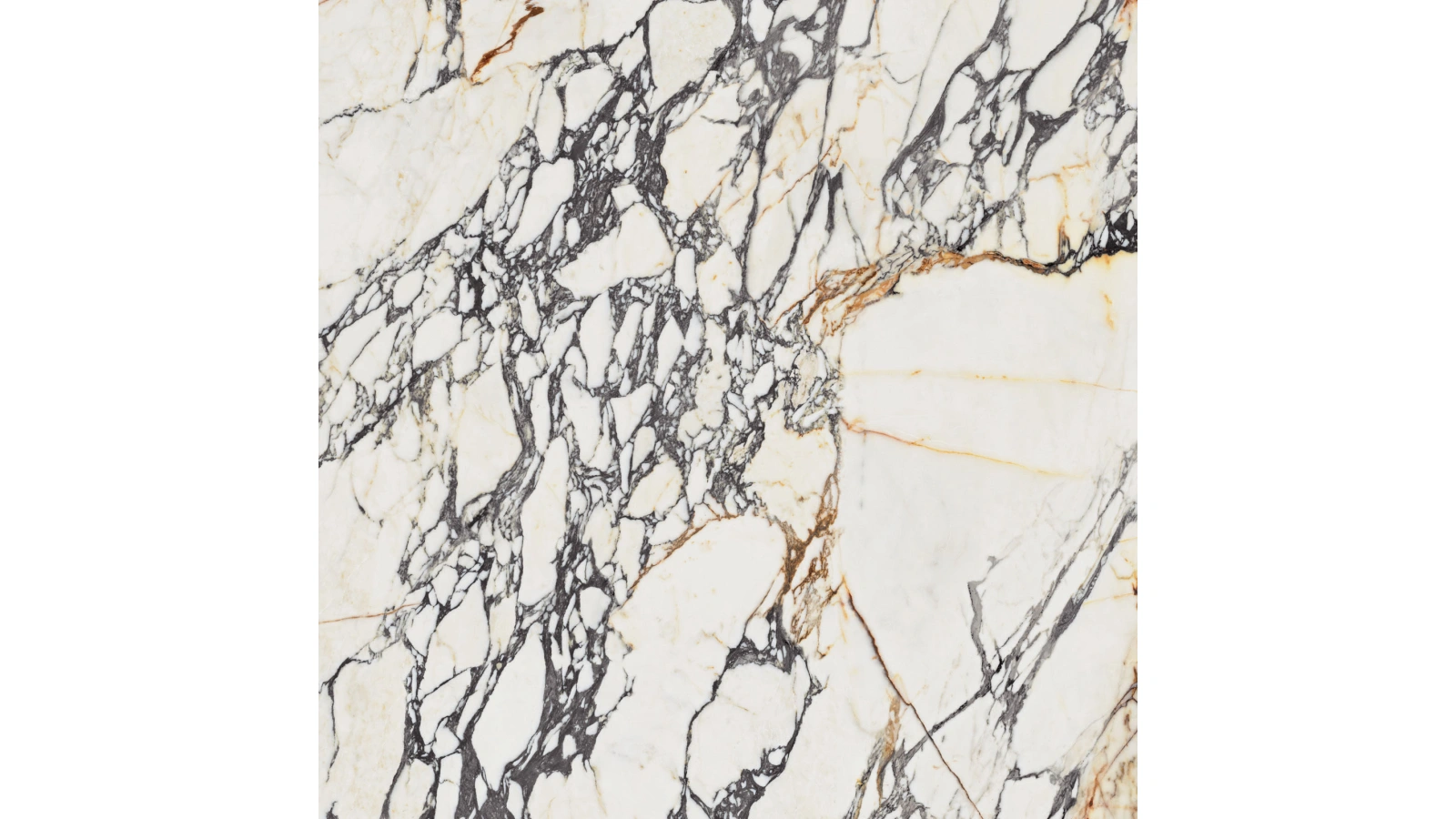 Treasure 5 - Textura 2