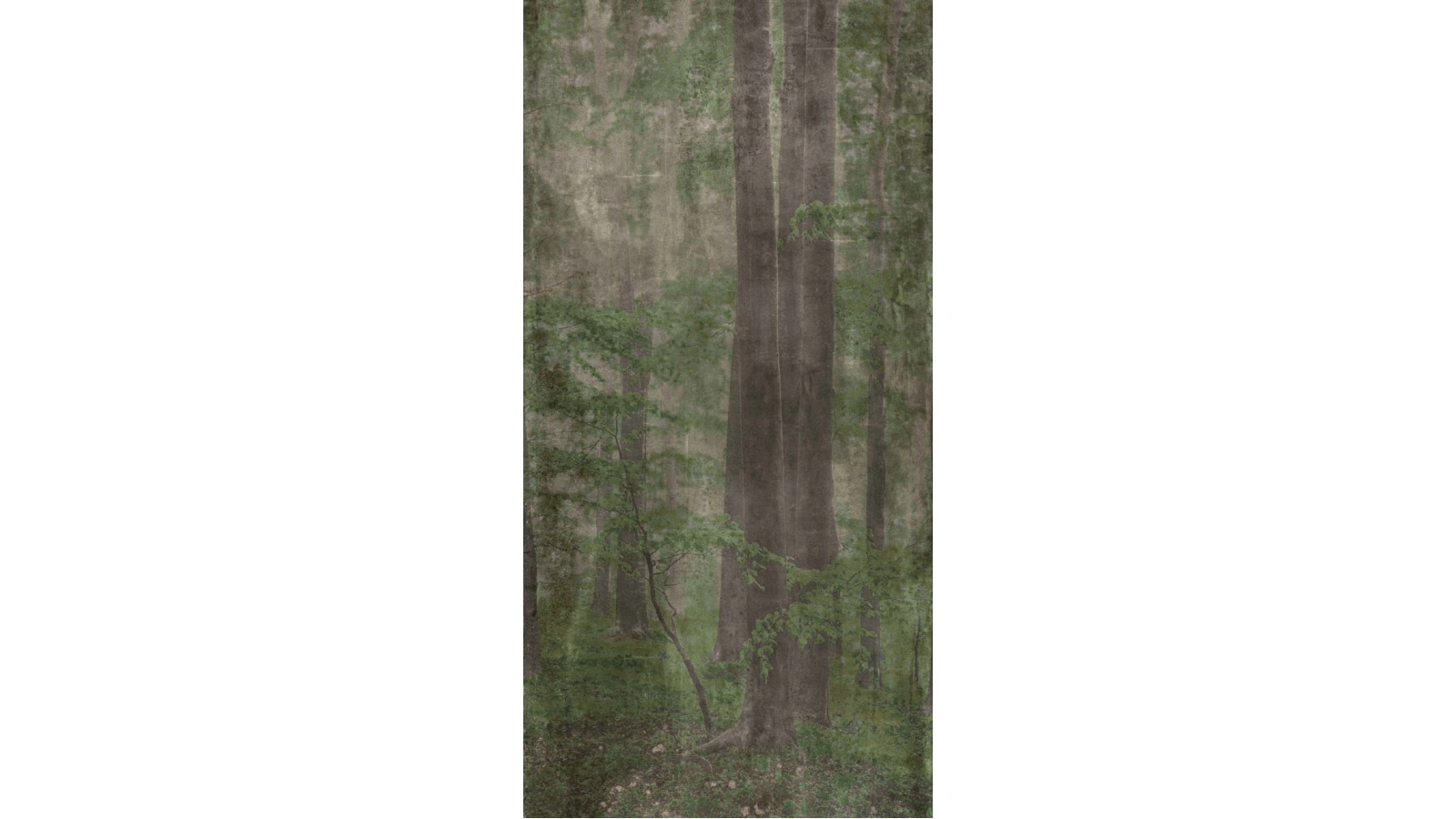 Wide and Style 18 - Textura 11