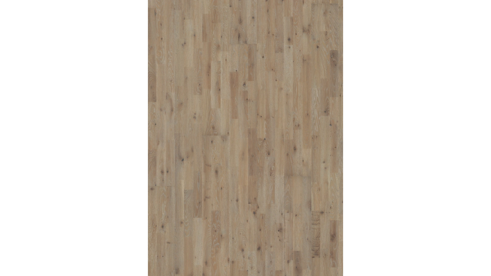 Oak Vinga 1 - Textura 1
