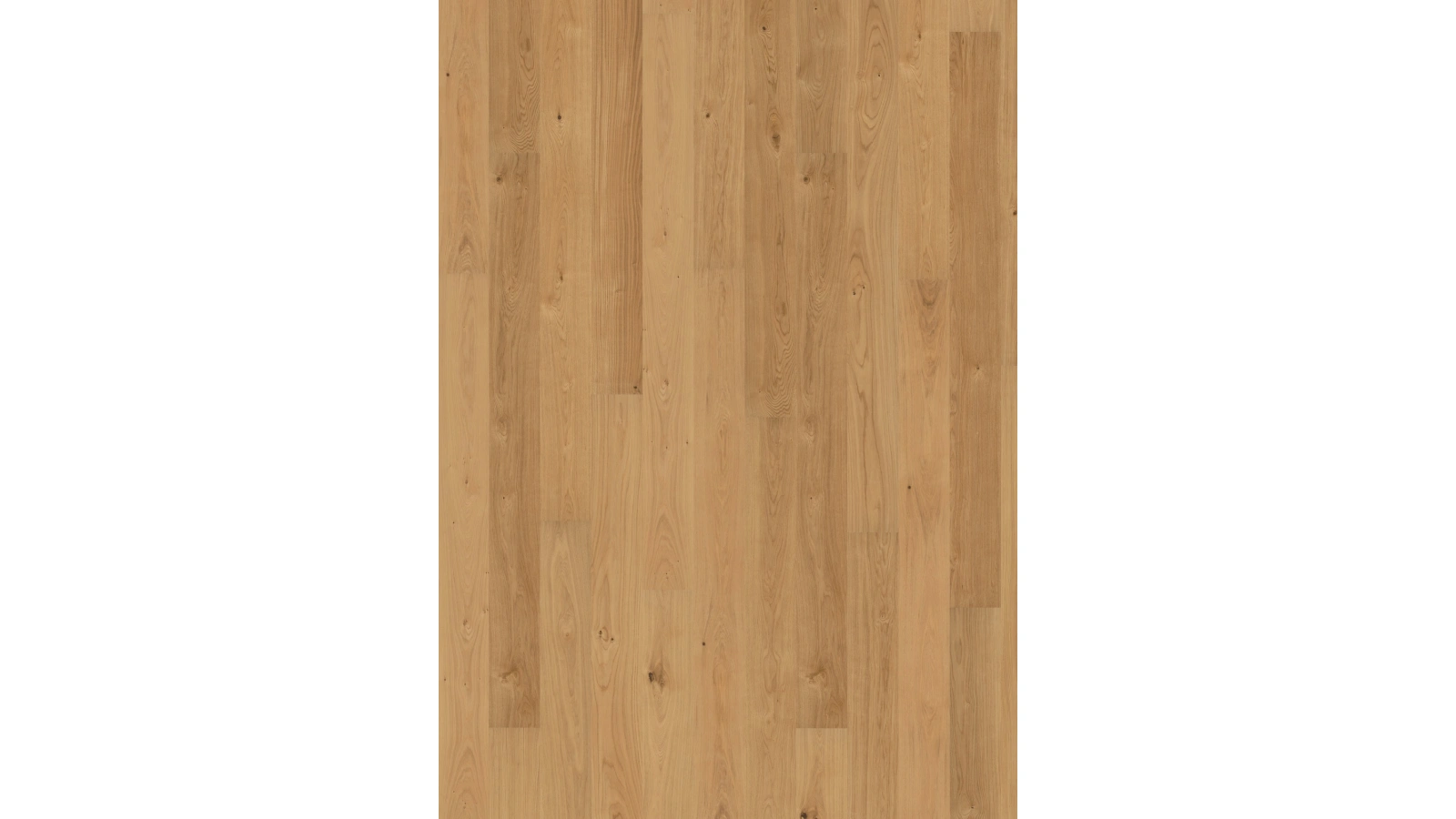 Oak Sun 1 - Textura 1