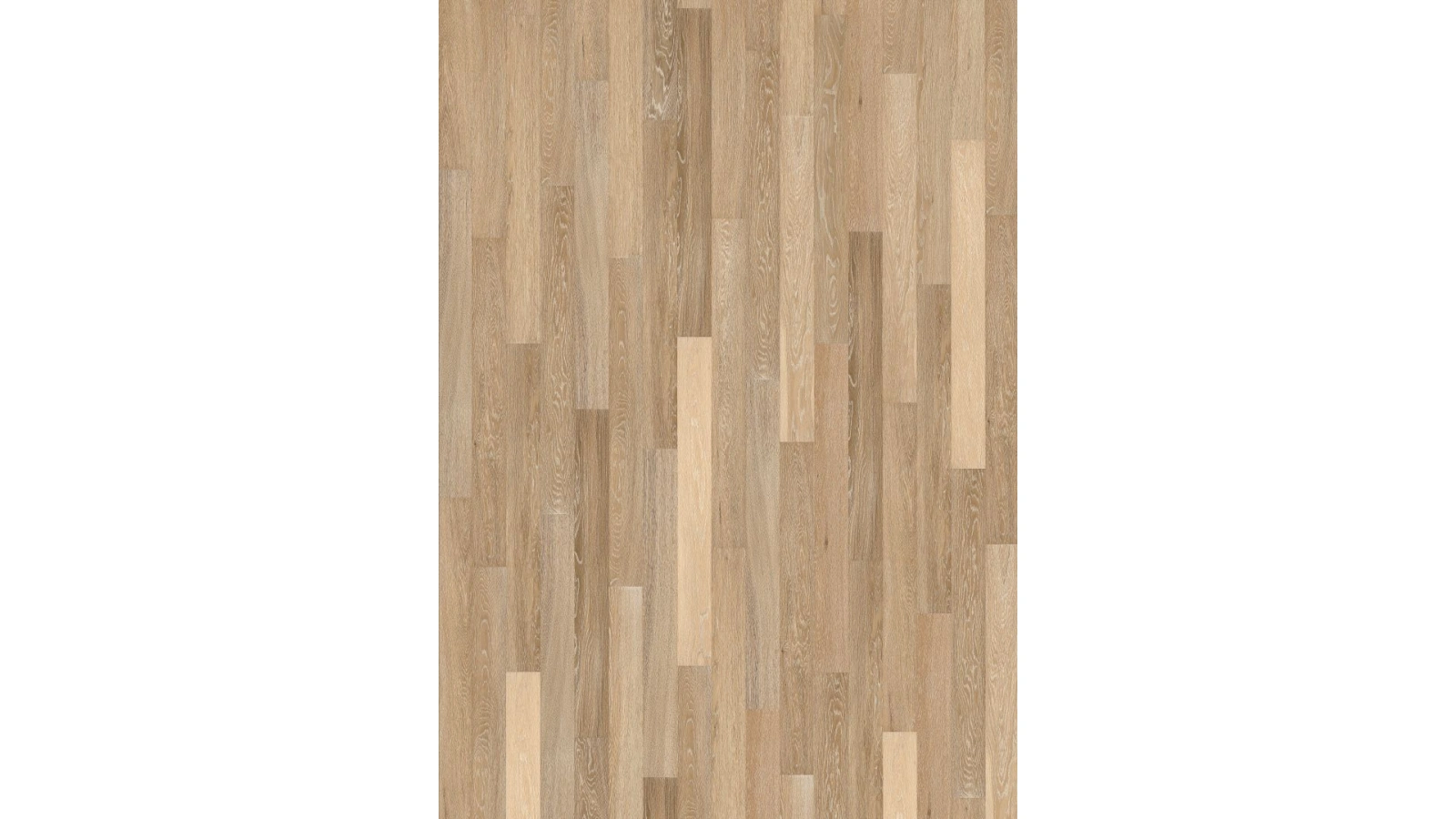 Sand Oak 1 - Textura 1