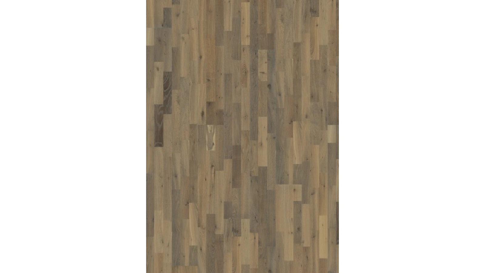 Sandstone 1 - Textura 1